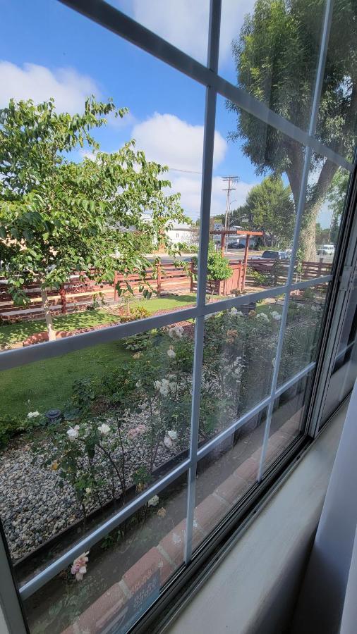 Large 1-Bedroom With Kitchen In Encino Los Angeles Eksteriør billede